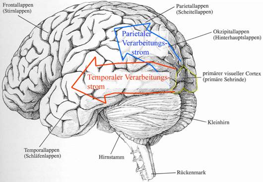 diagnostic writing assessment the development and