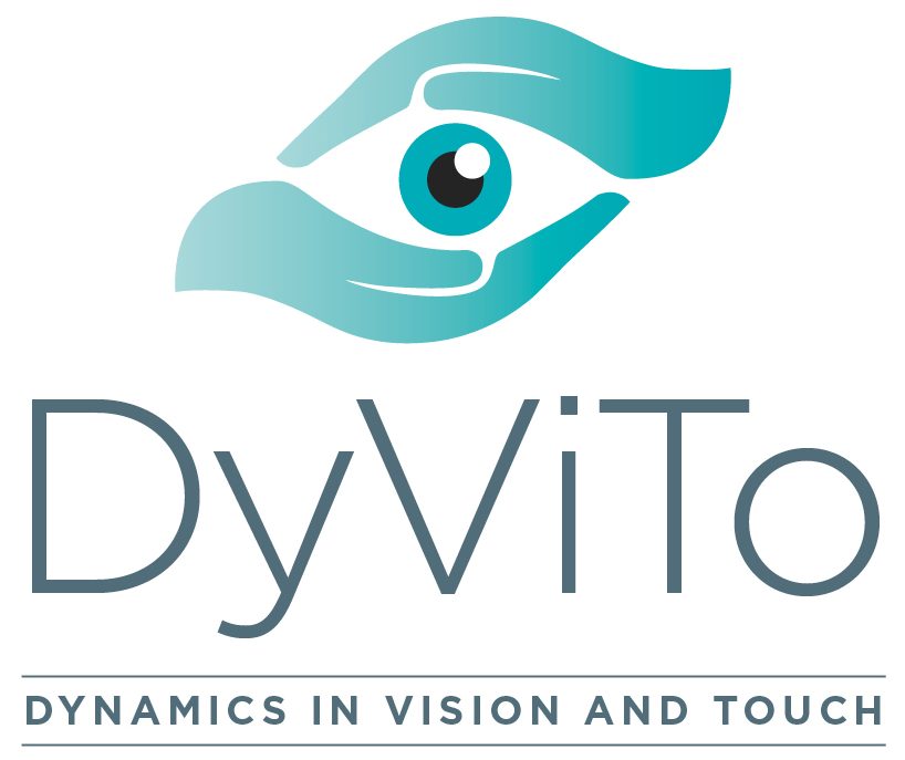 DyViTo DyViTo