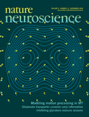 Cover Nature Neuroscience 2006 9(11)