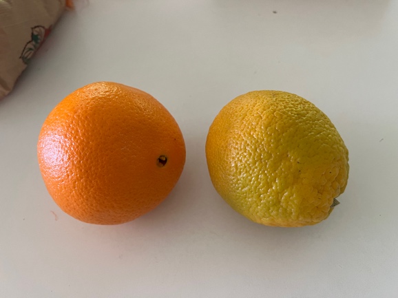 A ripe orange next to an unripe lemon-colored orange
