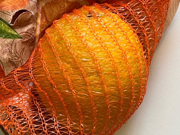 An orange inside an orange mesh net bag
