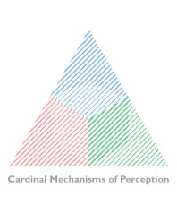 Cardinal mechanisms of perception