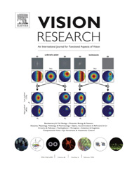 vision_research